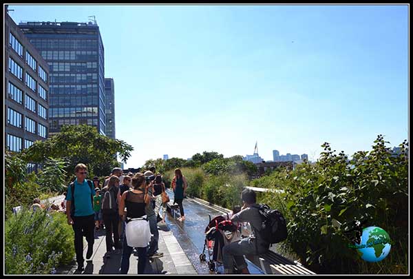 High Line Elevated Park de New York en plena ebullición.