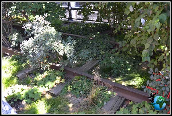 Antiguas vías del tren en High Line Elevated Park en New York.