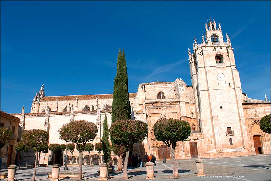 Catedral de San Antolín de Palencia.