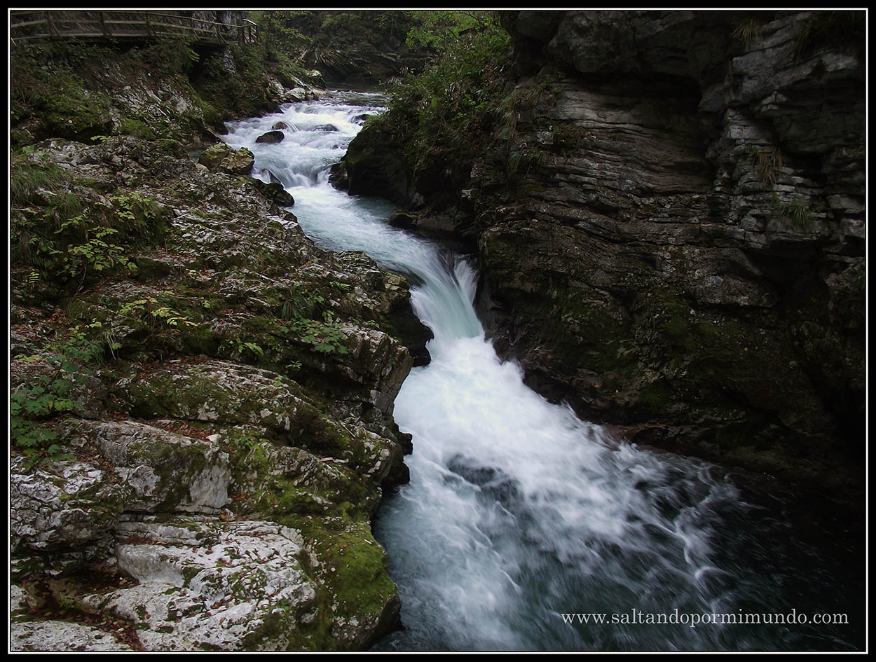 1788 - Los rápidos del río Radovna en la Garganta de Vintgar lun26-9