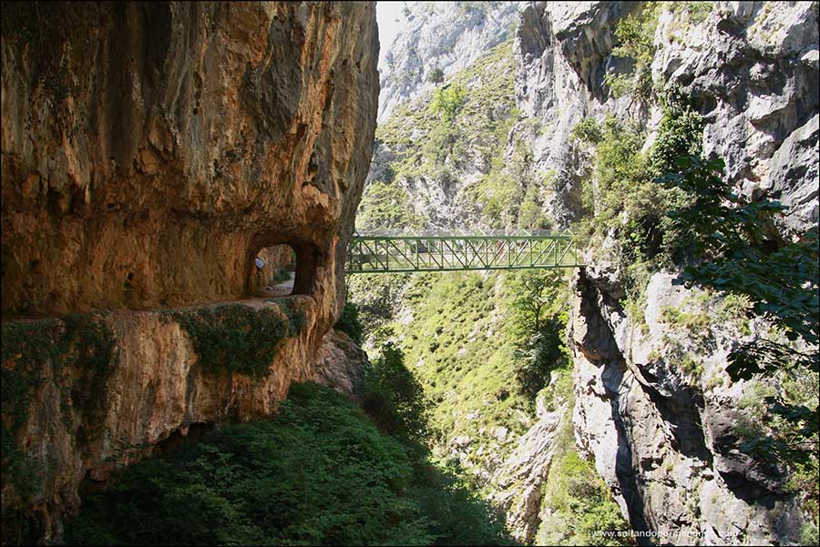 Qué ver en Asturias, ruta del Cares