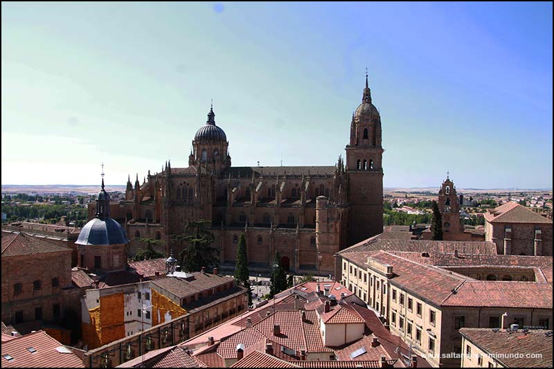 Qué ver en Salamanca en un día, Torres de la Clerecía