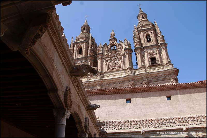 Qué ver en Salamanca en un día, Casa de las Conchas